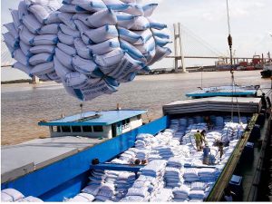 Triển vọng xuất khẩu gạo 6 tháng cuối năm 2023 được đánh giá tương đối tích cực
